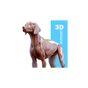 宠物犬类3D解剖软件：Complete Canine 3D anatomy